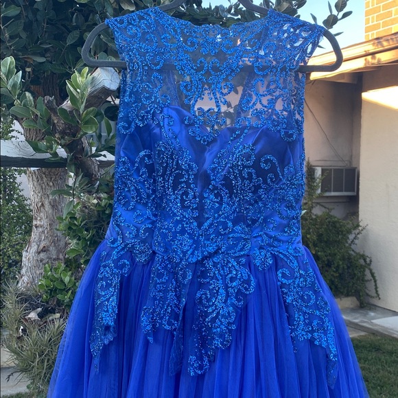 Royal Blue Lace & Tulle Floor-Length Ball Gown with Built-In Petticoat - Picture 3 of 17